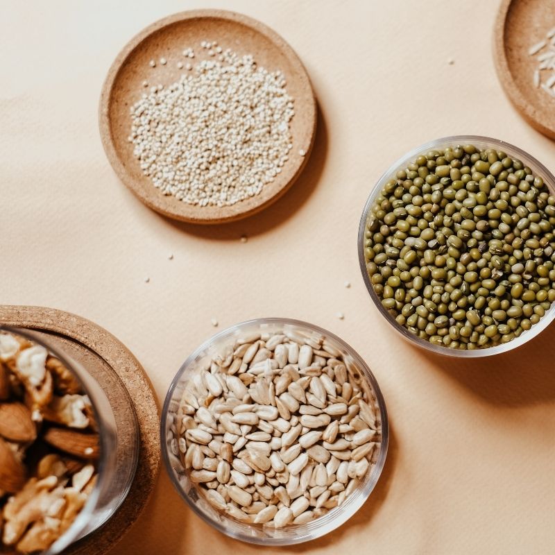 7 Best Plant Based Protein Sources